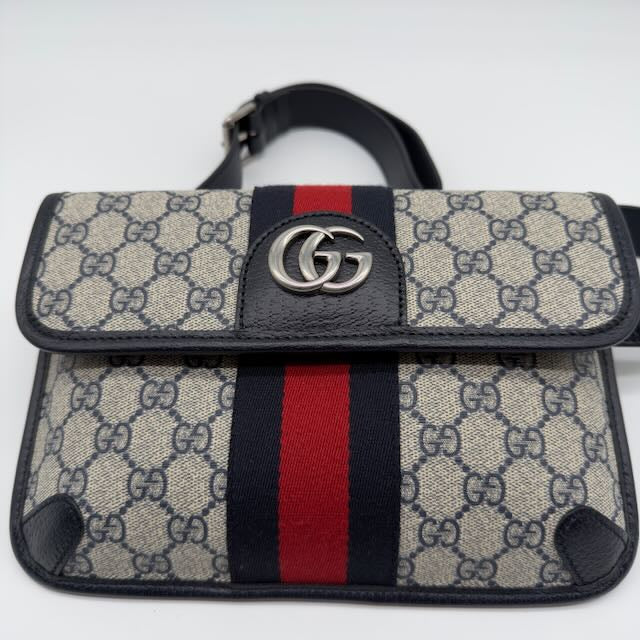 Ophidia GG Supreme Canvas