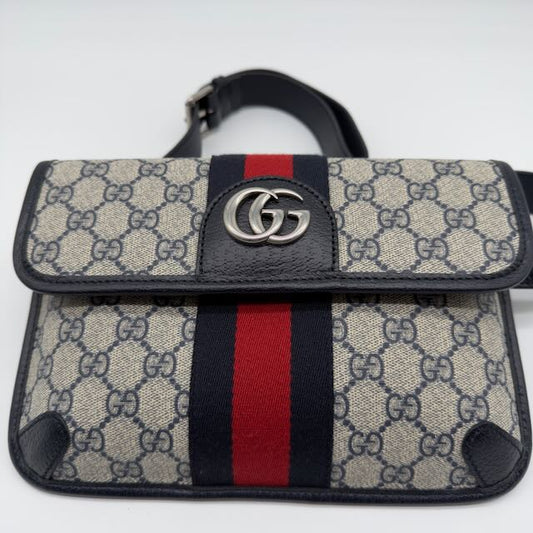 Ophidia GG Supreme Canvas