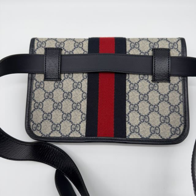Ophidia GG Supreme Canvas